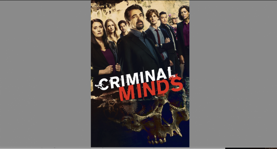 Criminal Minds, A TV Show Review