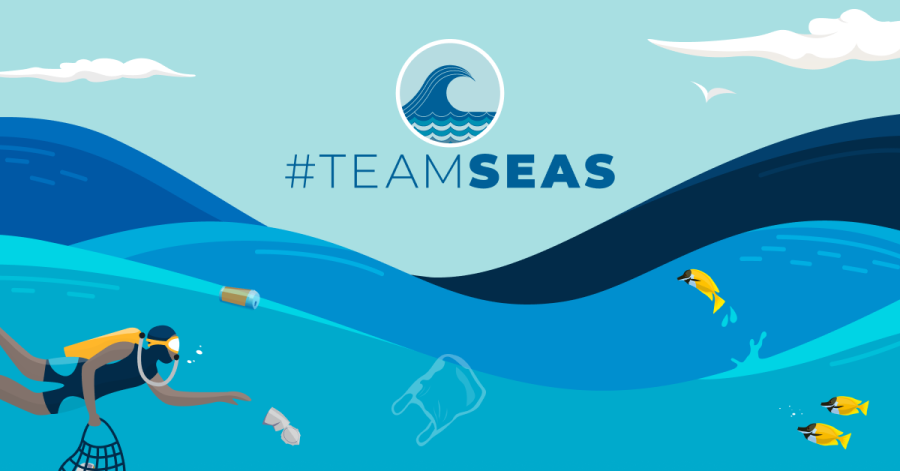 #TEAMSEAS