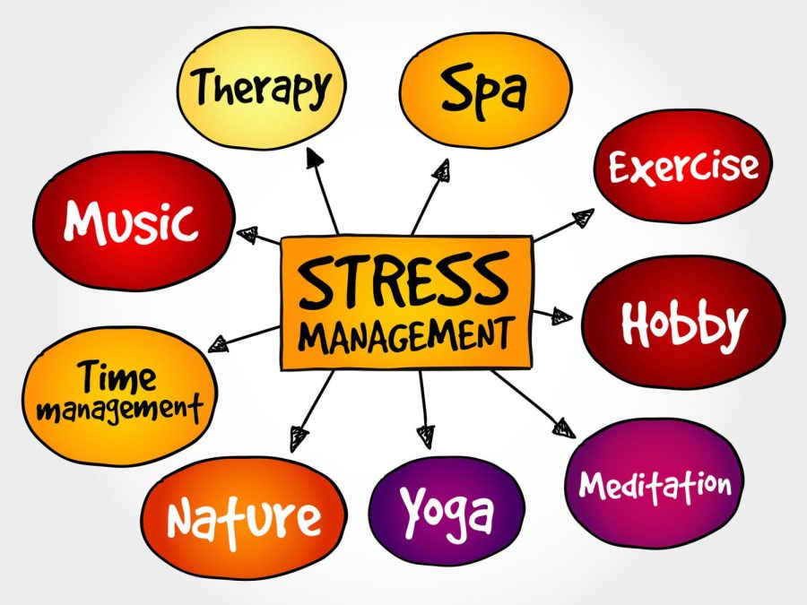 Stress+Management