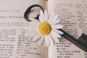The Invisible Weight of Words