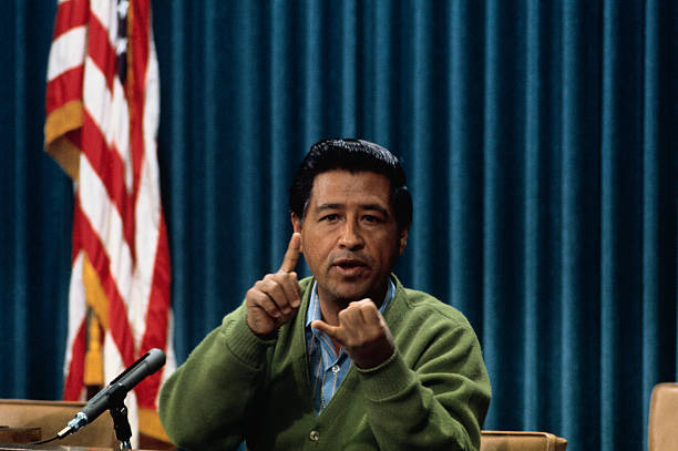Cesar Chavez, head of the United Farm Workers, makes a point in a press conference in Sacramento.